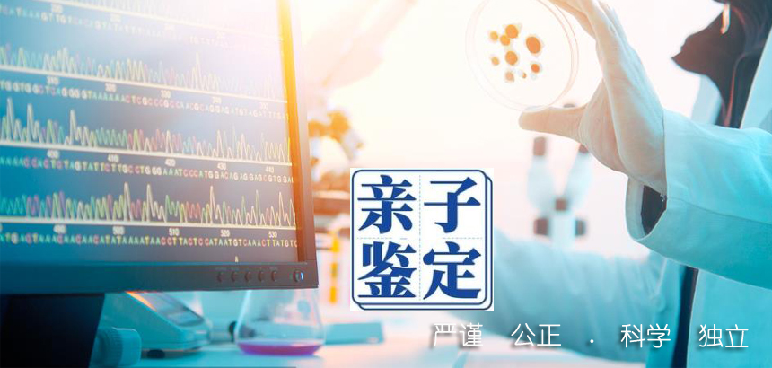 孝感亲子鉴定咨询了解